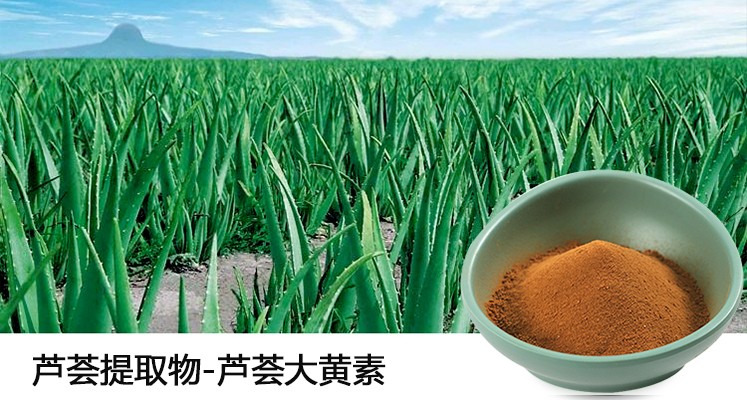 蘆薈提取物蘆薈大黃素.jpg