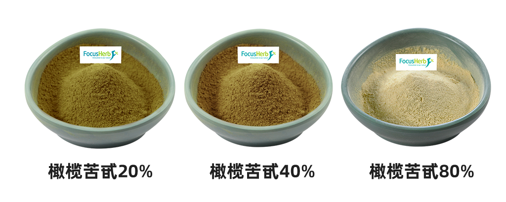 陜西富恒生物橄欖苦甙規格.png