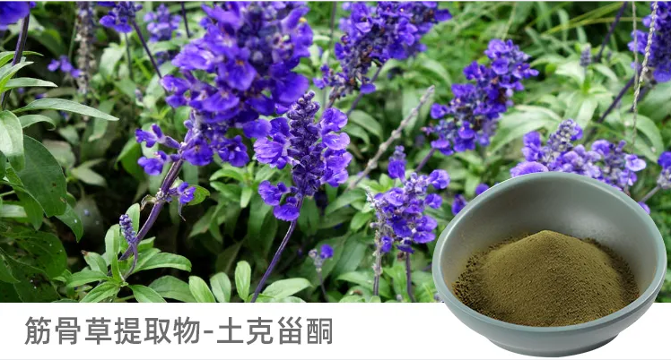 陜西富恒生物土克甾酮.png