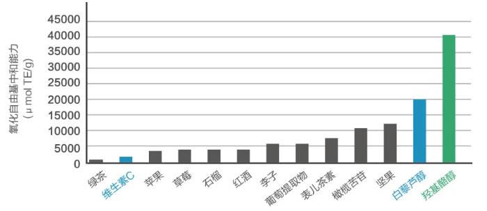羥基酪醇的抗氧化功能遠超其他主流產品.jpg