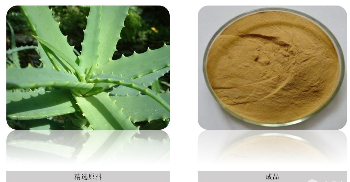 功能性食品原料蘆薈大黃素