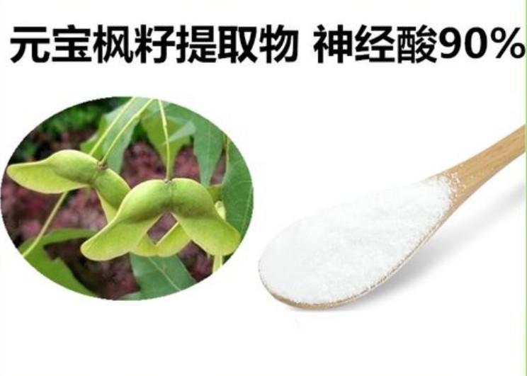 化妝品原料元寶楓提取物：神經酸