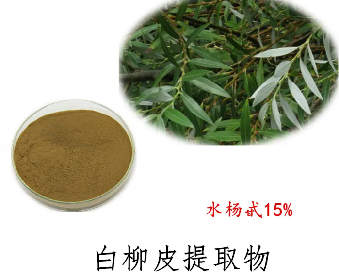 其他原料白柳皮提取物：水楊苷