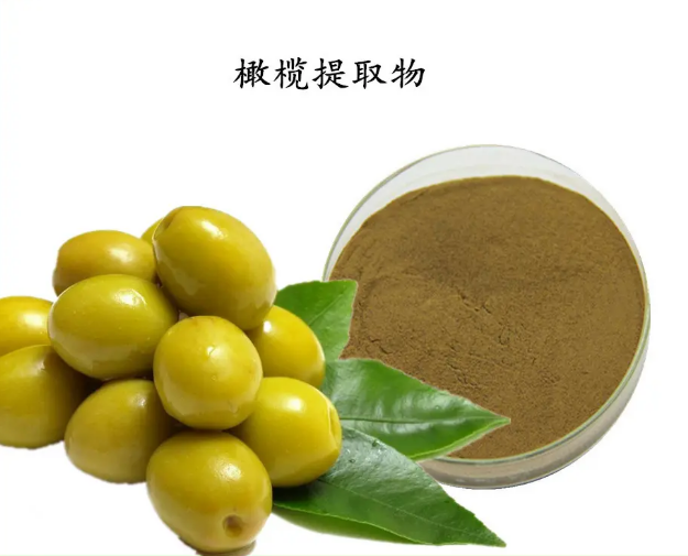 橄欖葉提取物：羥基酪醇