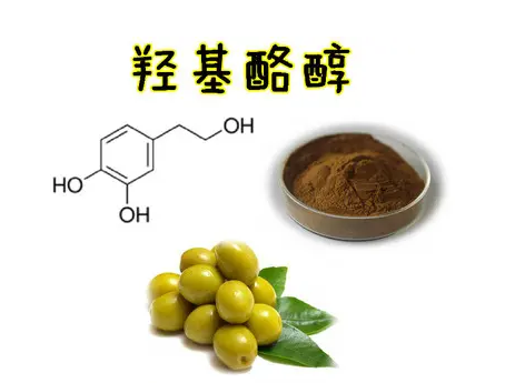 橄欖葉提取物：羥基酪醇