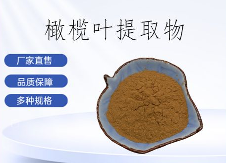 橄欖葉提取物 橄欖葉提取物
