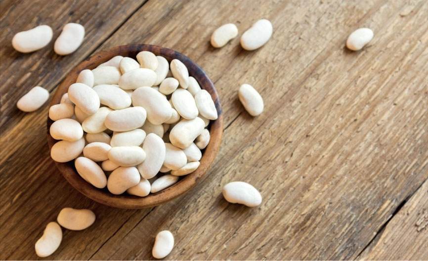白蕓豆提取物能減肥嗎