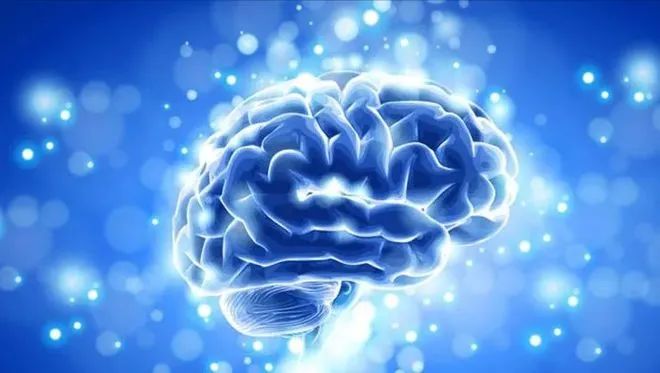 PQQ線粒體優化劑：延緩衰老、改善睡眠、提高記憶力！
