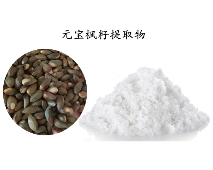化妝品原料元寶楓提取物：神經酸對健康的益處