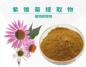 紫錐菊植物提取物多酚的一些主要優點