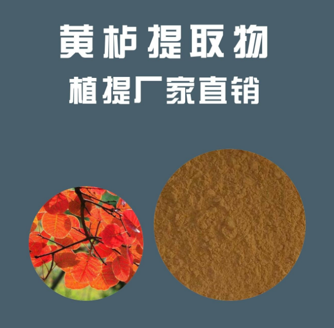 化妝品原料黃櫨提取物：漆黃素的好處有哪些？