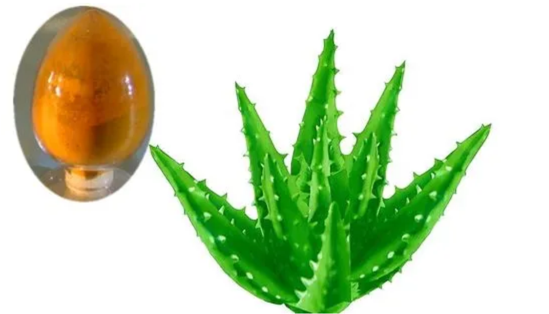 功能性食品原料蘆薈大黃素的主要健康益處是什么？