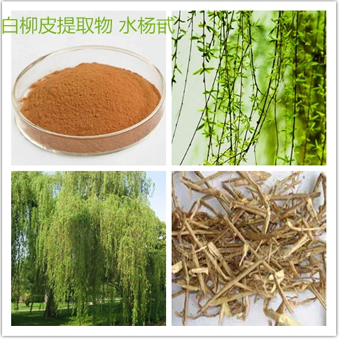 其他原料白柳皮提取物：水楊苷的用途有哪些？和你知道是不是有沖突呢？