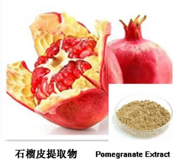 功能性食品原料石榴皮提取物的好處竟然是這樣的