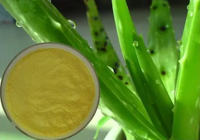 植物提取物蘆薈苦素對皮膚有哪些好處？