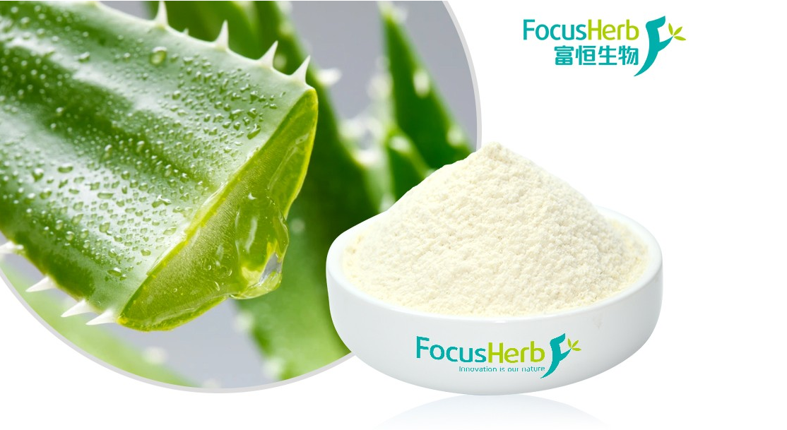 植物提取物、化妝品原料蘆薈凍干粉的應用范圍
