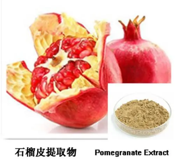 金屬離子增強功能性食品原料石榴皮提取物的抑菌活性