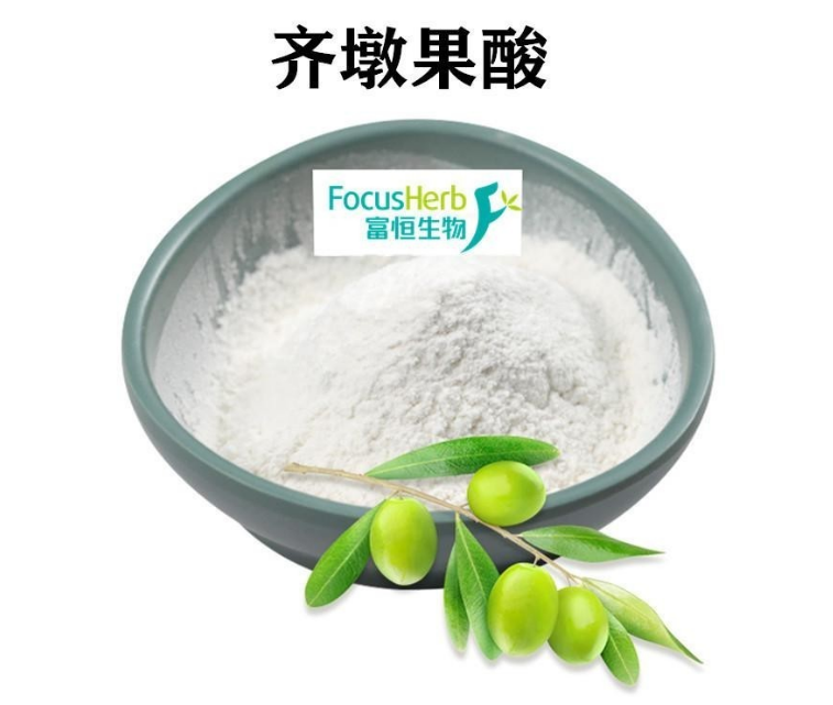 橄欖葉提取物：齊墩果酸是如何起作用的