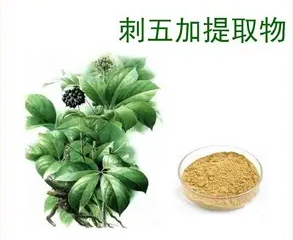 植物提取物刺五加提取物和藥物的交互作用