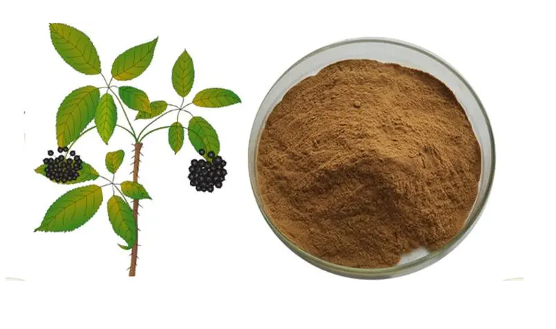 植物提取物刺五加提取物的預防措施以及使用