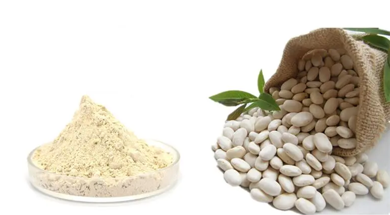 功能性食品原料白蕓豆提取物碳水化合物阻滯劑(和淀粉阻滯劑)到底是什么?