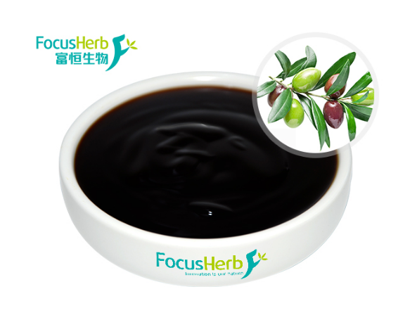 關于橄欖葉提取物：羥基酪醇浸膏健康探索