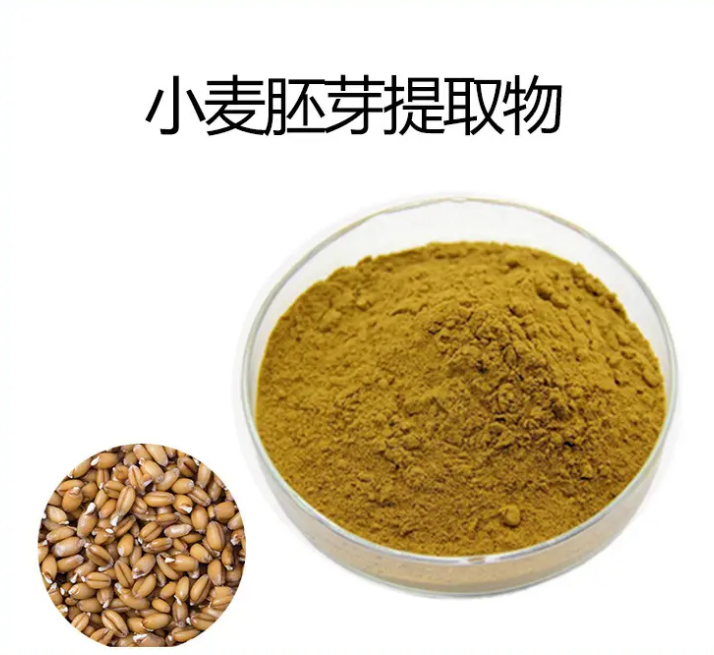 功能性食品原料小麥胚芽提取物：亞精胺對人體的好處
