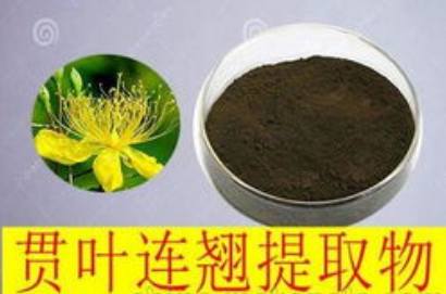 其他原料貫葉連翹提取物：金絲桃素的作用