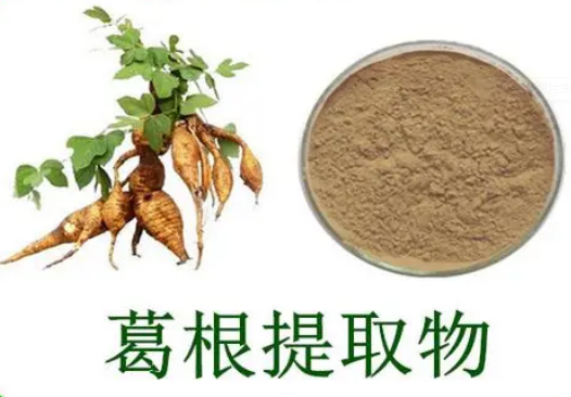 功能性食品原料葛根提取物：葛根素對LPs/ d - gal誘導的急性肝損傷有保護作用嗎?
