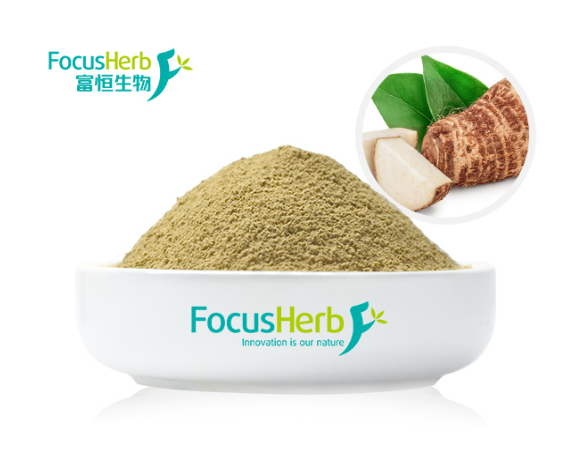 功能性食品原料葛根提取物：葛根素對老年人健康的好處