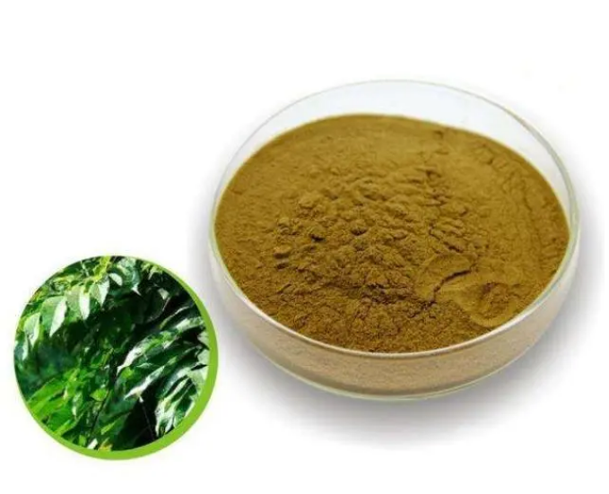 橄欖葉提取物的 7 大好處