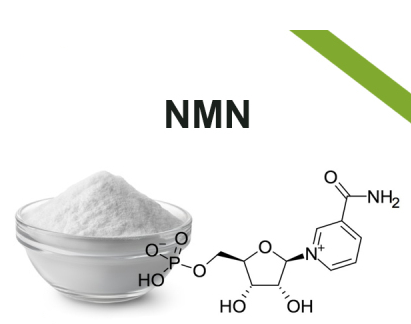 其他原料β-煙酰胺單核苷酸（NMN）與NAD+的關系