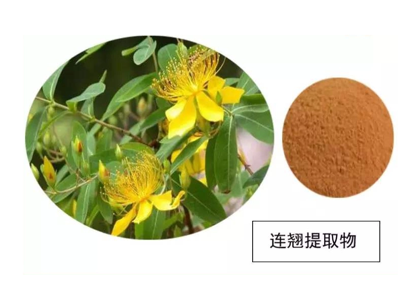 其他原料金絲桃素屬性研究