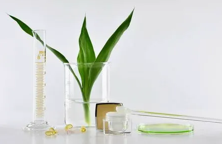 如何測試植物提取物的抗菌活性?