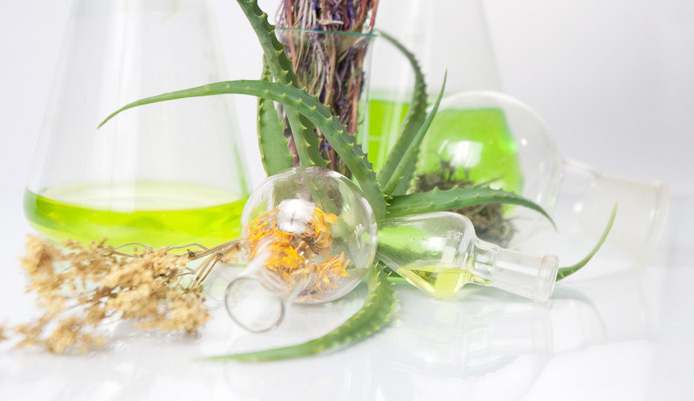 一些植物提取物對食品病原體和腐敗微生物的抗菌特性和作用機制