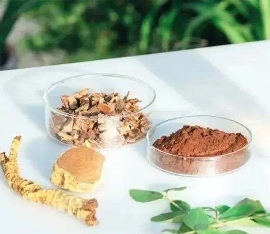 功能性食品原料——功能與優勢