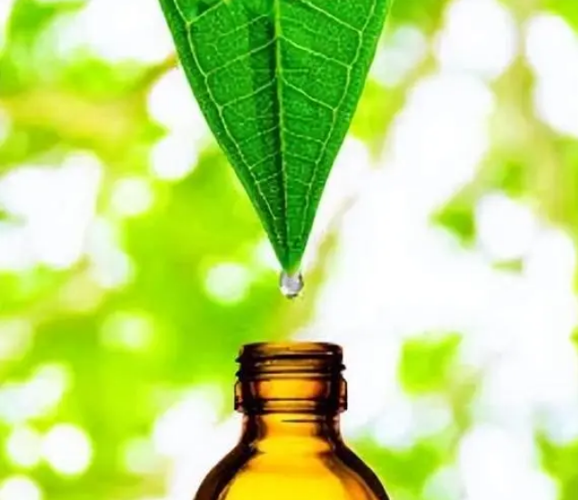 植物提取物在護膚品中的作用