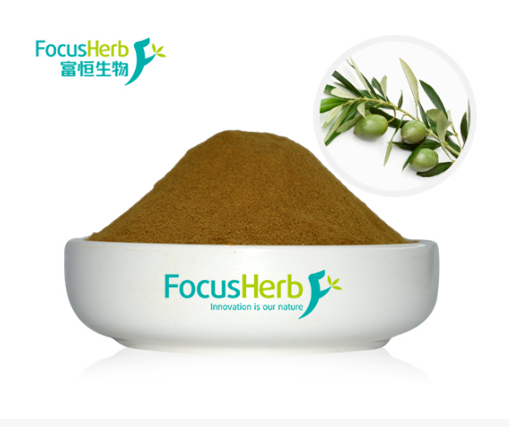 橄欖葉提取物是否有助于姜黃的吸收？
