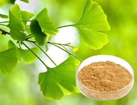 如何生產植物提取物？