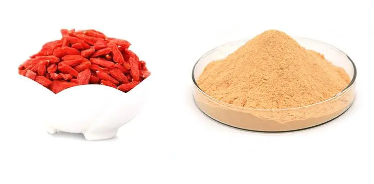 富恒生物|功能性食品對美食家的深遠健康益處