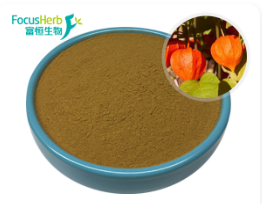 富恒生物|植物提取物市場：全球情景和市場亮點