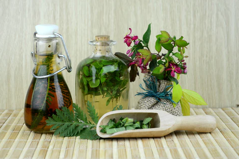 富恒生物|植物提取物的三大益處是什么？