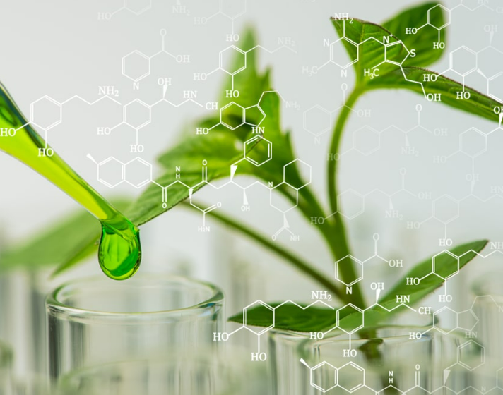 富恒生物|使用植物提取物分來滿足不斷變化的消費者需求