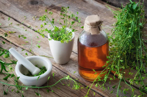 富恒生物|精油和植物提取物有什么區別？
