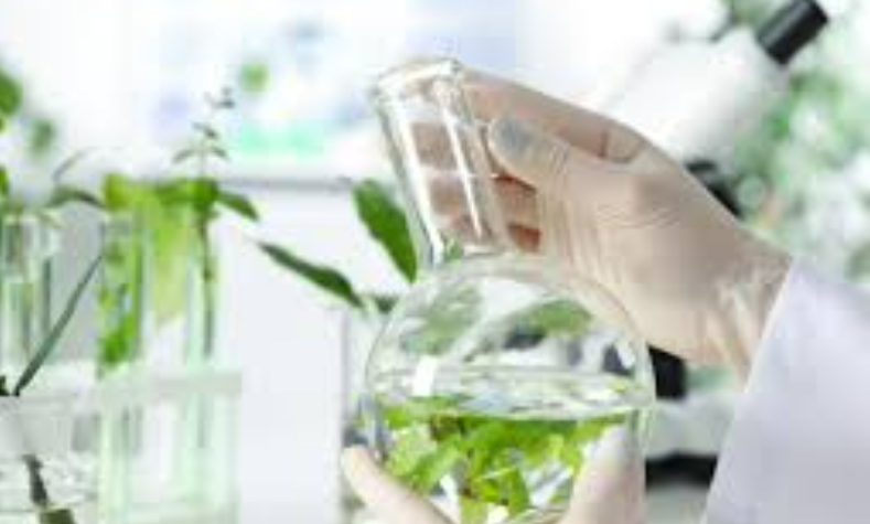 富恒生物|藥用植物提取物介紹