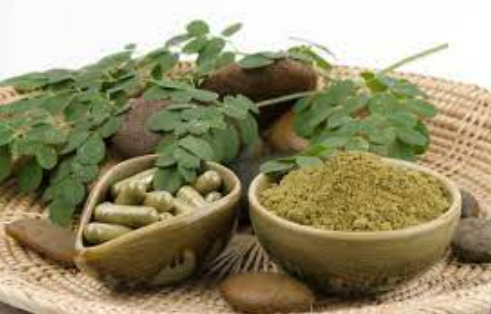 草藥植物提取物健康益處|富恒生物