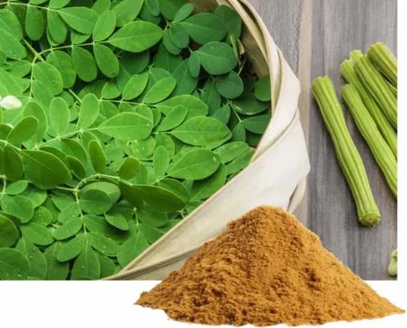 如何將草藥植物提取物添加到化妝品配方中？富恒生物