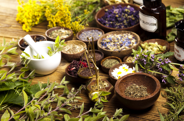 護發產品中的常見植物提取物及其對頭發的益處|富恒生物