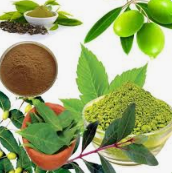 天然植物提取物中的協同作用和拮抗作用|富恒生物