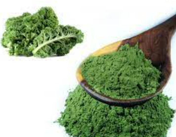 粉末和粉末植物提取物|富恒生物